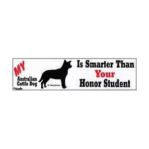  Smarter Australian Cattle Dog Sticker: Everything Else