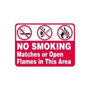  NO SMOKING MATCHES OR OPEN FLAMES IN THIS AREA (W/GRAPHIC 