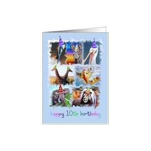  Happy 10th Birthday Zoo Animals Card Toys & Games