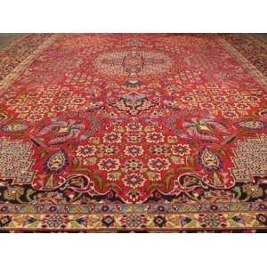   10x16 Handmade Hand knotted Wool Persian Area Rug G263