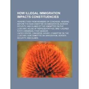 How illegal immigration impacts constituencies: perspectives from 