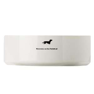  Dachshund Large Pet Bowl by CafePress: Pet Supplies