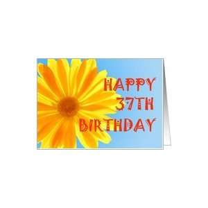  37th Birthday, Happy yellow flower Card Toys & Games