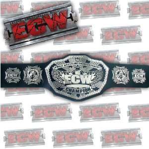  ECW 3D 2008 HEAVYWEIGHT CHAMPIONSHIP MINI REPLICA 