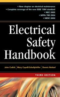   100 Questions and Answers on Electrical Safety by Ray 