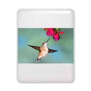  iPad Case White Black Chinned Hummingbird: Everything Else