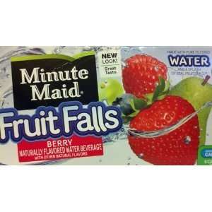 Minute Maid Fruit Falls Berry Flavored Water Beverage, 10 Pouches/Box 