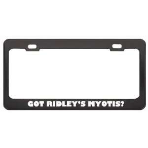 Got RidleyS Myotis? Animals Pets Black Metal License Plate Frame 