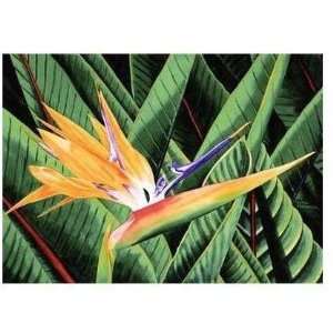  Bird Of Paradise Poster Print