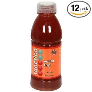 Function Fruit Drink, Youth Trip, 16.9 Ounce Bottle (Pack of 12 