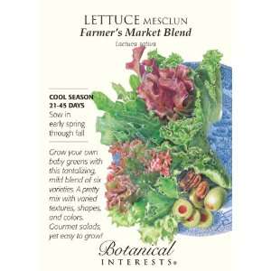  Lettuce Mesclun Farmers Market Blend Seed: Patio, Lawn 