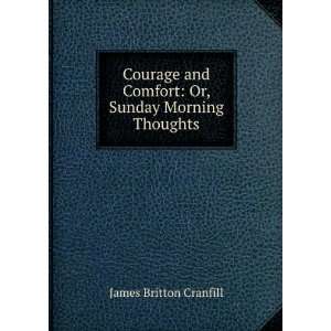   Comfort: Or, Sunday Morning Thoughts: James Britton Cranfill: Books