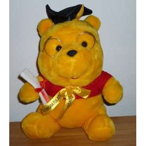  Graduation Winnie The Pooh Bear Plush Animal: Everything 