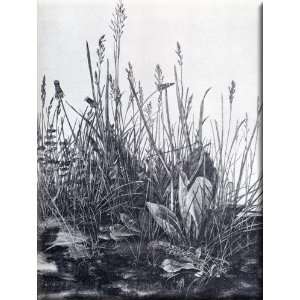 The So Called Great Piece Of Turf 23x30 Streched Canvas Art by Durer 