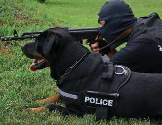 POLICE,SCHUTZHUND,SECURITY K9 dog training,GREAT labels  