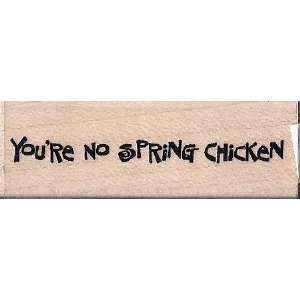 No Spring Chicken Mounted Wooden Stamp // The Cats Pajamas 