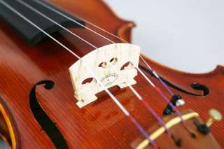 50 Yrs Stradivari Lobkowicz Violin #0929 for Performance and SOLO 