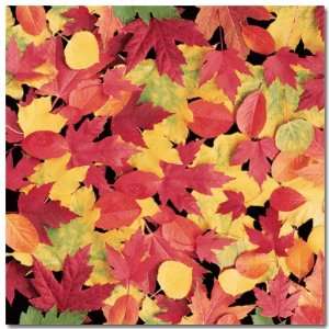  Colorful Leaves Scrapbook Paper 