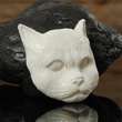 Head of a CAT White BUFFALO BONE Pendant Art Carving  