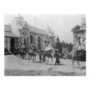  Pan American Exposition Camel Parade Photograph   Buffalo 