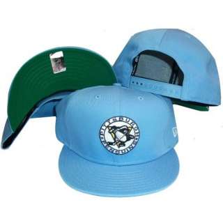   Baby Blue Snapback Adjustable Plastic Snap Back Cap / Hat: Clothing
