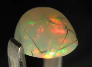 This Ethiopian Wello Crystal opal has fossilized plant material 