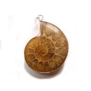  PE0369 Madagascar Ammonite Fossil Crystal Pendant Jewelry