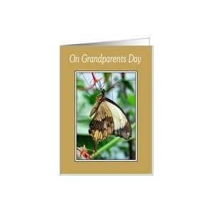 Grandparents Day   Swallowtail Butterfly Card