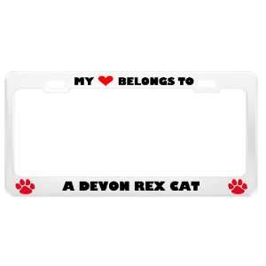 Devon Rex Cat Pet White Metal License Plate Frame Tag Holder