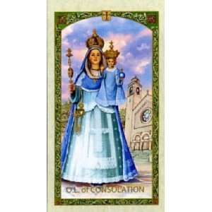  Our Lady of Consolation Prayer Card: Health & Personal 