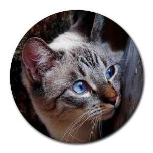  Cute Kitty Round Mouse Pad: Office Products
