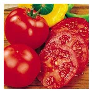  Tasty Early Tomato 4 Plants   Disease Resistant & Early 