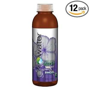 Arizona Yumberry Tea Water, 20 Ounce (Pack of 12):  Grocery 