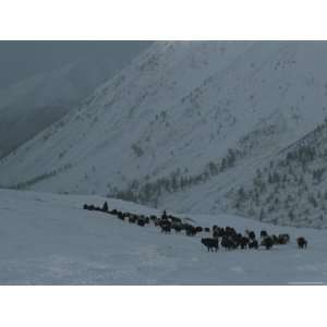  Nomadic Family Crosses Utreg Pass Enroute to Winter 