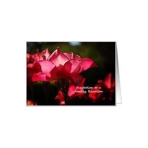 Family Reunion Party Invitation   Red Rose Card