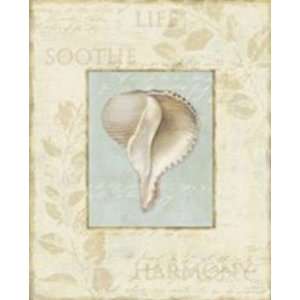  Soothing Words Shells IV: Lisa Audit. 8.00 inches by 10.00 