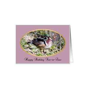  son in law birthday, Wood Duck Card Health & Personal 