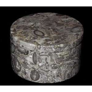  Decorative Fossil Stone Trinket Box with Lid: Home 