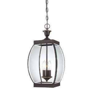   Oasis 3 Light Ambient Lighting Outdoor Pendant from the Oasis Collect