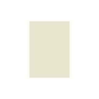  Dimensions Oversized Color Sample   Beige Chiffon: Home 