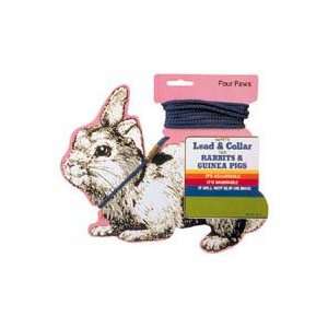  FP RABBIT & GPIG COLLAR & LEAD