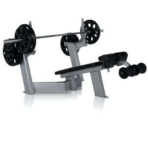    FreeMotion Commercial EPIC Decline Bench