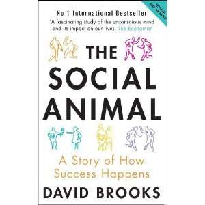   Story of How Success Happens [Paperback] David Brooks Books