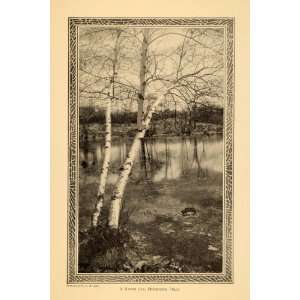   Landscape Birch Trees River   Original Halftone Print