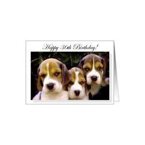  Happy 36th Birthday Beagle Puppies Card: Toys & Games