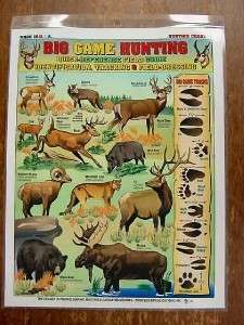 New Big Game Hunting Chart #1 Quick Ref. Field Guide  