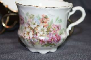 Germany China Cup & Saucer Floral Design  