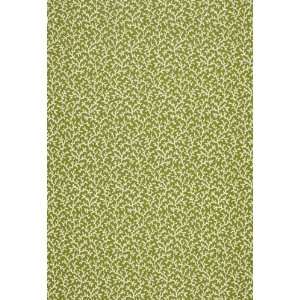  Schumacher Sch 3442001 Biscay   Sea Grass Fabric: Arts 