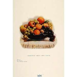  1901 Color Print Fruit Bowl Grapes Apple Orange Walnuts 