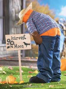 HARVEST MOON OUTDOOR MOONING SCARECROW LAWN DECOR NEW  